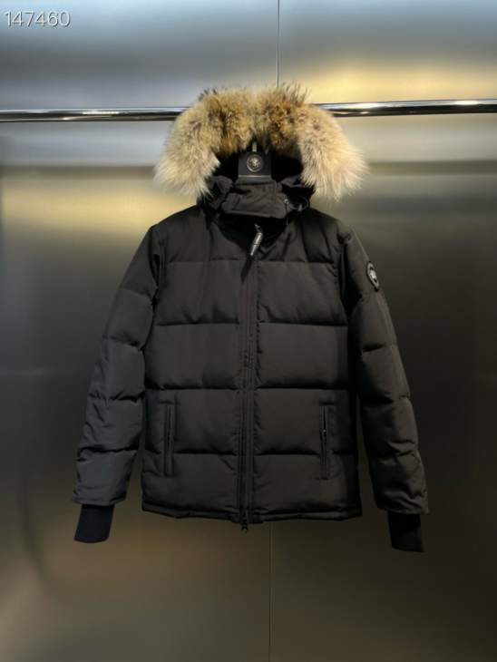 Picture of Canada Goose Down Jackets _SKUCanadaGooseXS-XL26yr7737791